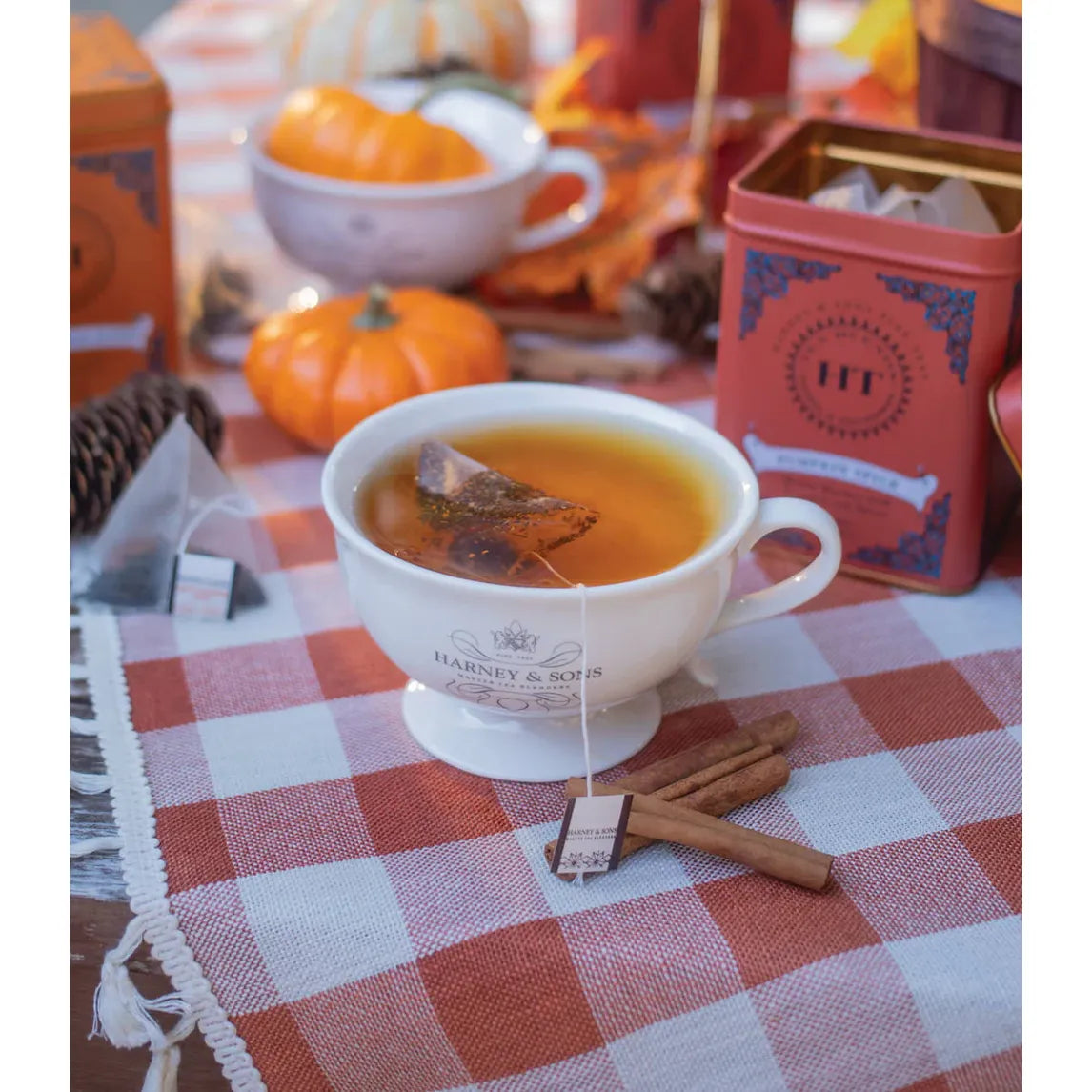 Harney & Sons HT Pumpkin Spice, 20 vrečk